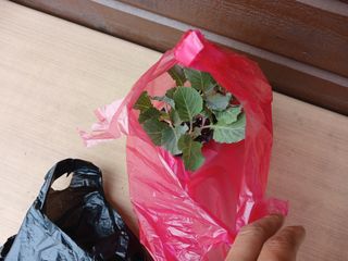 알 수 없음님의 자유주제 · 자유게시판 작성글 사진