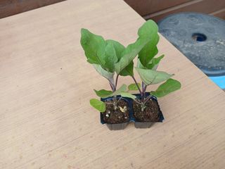 알 수 없음님의 자유주제 · 자유게시판 작성글 사진