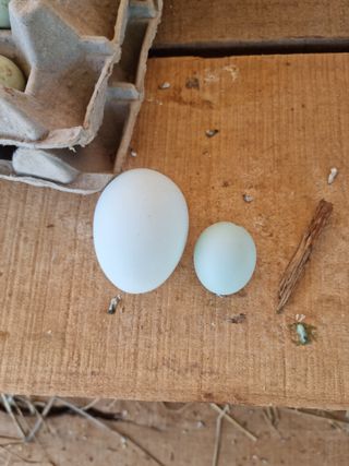 남종희님의 자유주제 · 자유게시판 작성글 사진