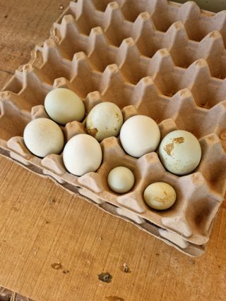 남종희님의 자유주제 · 자유게시판 작성글 사진