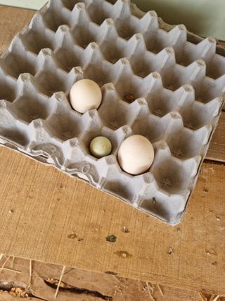 남종희님의 자유주제 · 자유게시판 작성글 사진