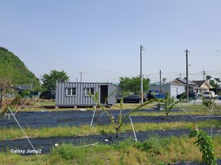 살구장수님의 자유주제 · 자유게시판 작성글 사진