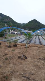 팜모닝 자유주제·자유게시판 게시글 이미지