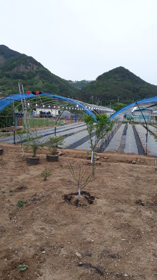 김윤희님의 자유주제 · 자유게시판 작성글 사진