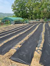 팜모닝 자유주제·자유게시판 게시글 이미지