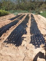 팜모닝 그곳에서 농사하게 된 계기는?·참여글 게시글 이미지