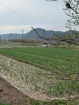 팜모닝 그곳에서 농사하게 된 계기는?·참여글 게시글 이미지