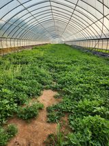 팜모닝 자유주제·칭찬해요 게시글 이미지