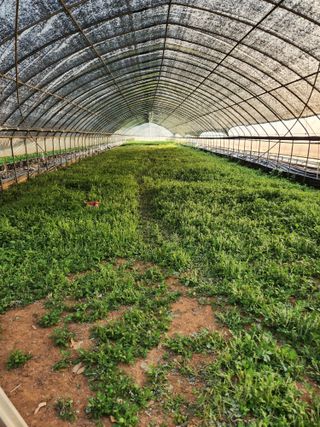 안병두님의 자유주제 · 칭찬해요 작성글 사진