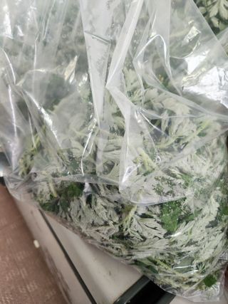 안병두님의 자유주제 · 칭찬해요 작성글 사진