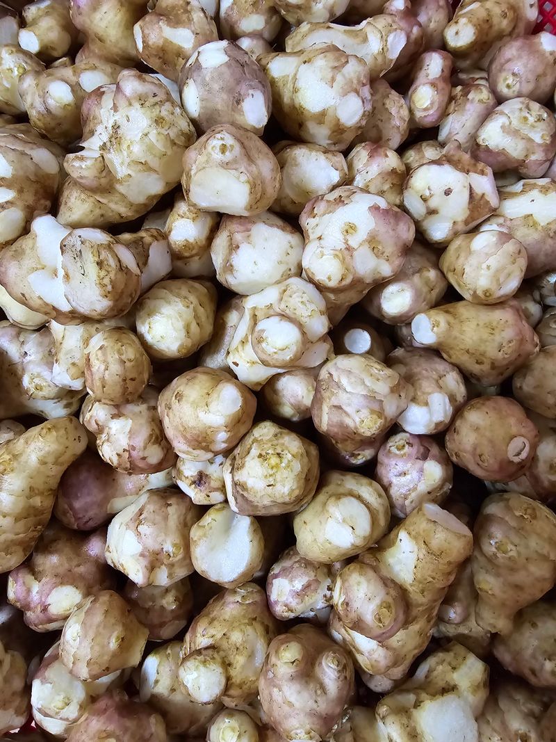 보성녹차 님의 장터 판매 상품 [돼지감자 차] 첨부 사진