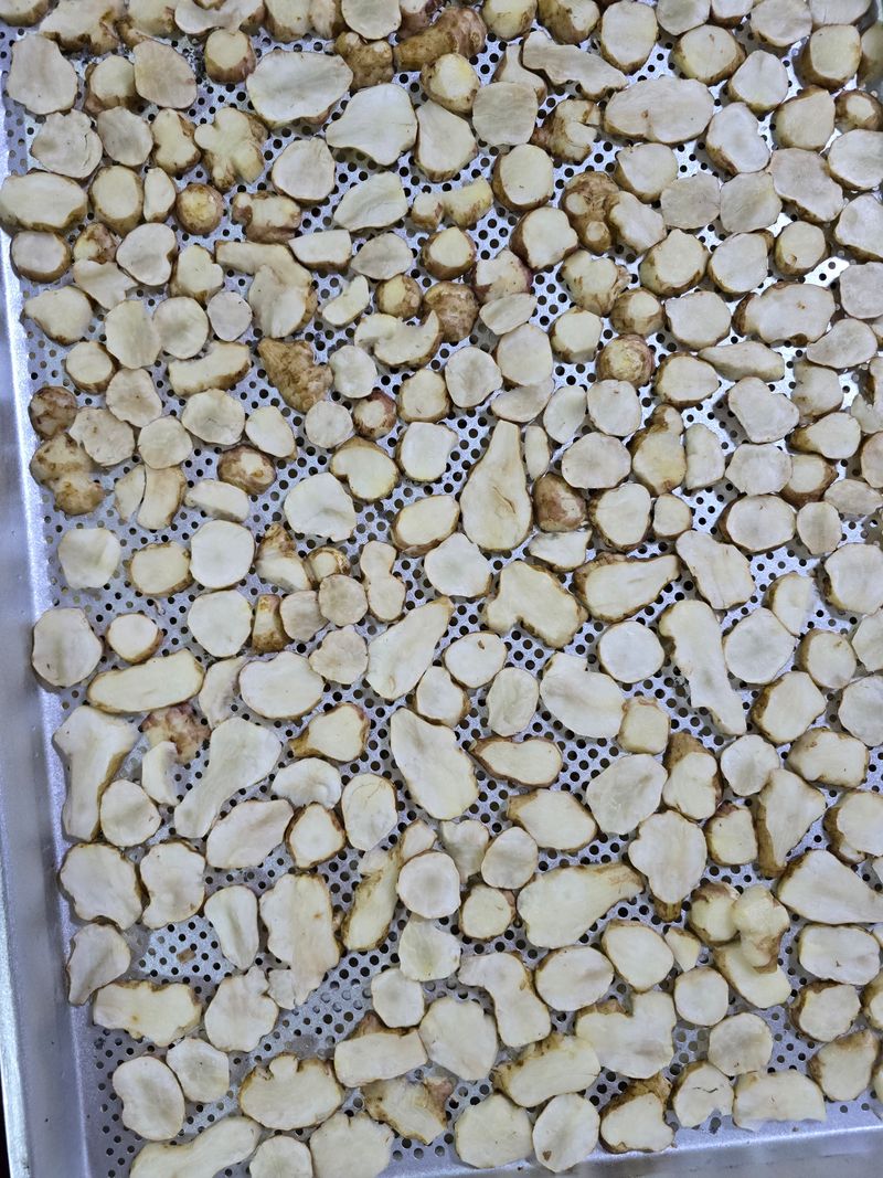 보성녹차 님의 장터 판매 상품 [돼지감자 차] 첨부 사진