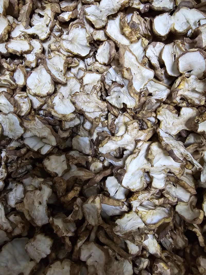 보성녹차 님의 장터 판매 상품 [돼지감자 차] 첨부 사진