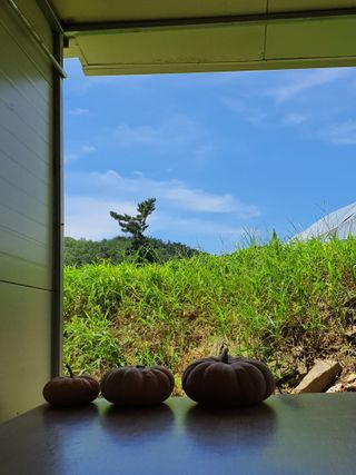 징금다리님의 그곳에서 농사하게 된 계기는? · 참여글 작성글 사진