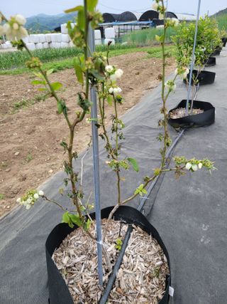 김유숙님의 자유주제 · 건의해요 작성글 사진
