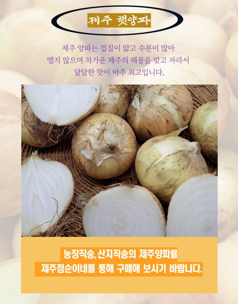 제주대정 방점순님의 장터 판매 상품 [못난이 미니양파(제주햇양파)5kg] 첨부 사진