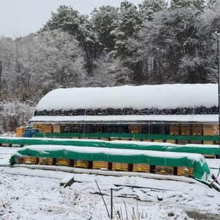 속리산정이품농원님의 그곳에서 농사하게 된 계기는? · 참여글 작성글 사진