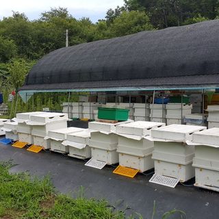 속리산정이품농원님의 그곳에서 농사하게 된 계기는? · 참여글 작성글 사진