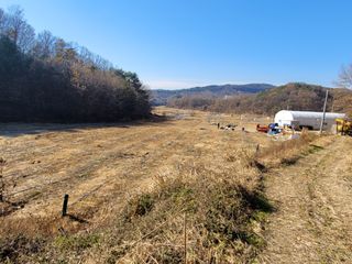 속리산정이품농원님의 그곳에서 농사하게 된 계기는? · 참여글 작성글 사진
