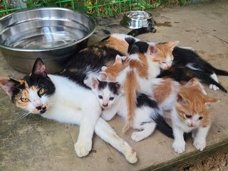 속리산정이품농원님의 그곳에서 농사하게 된 계기는? · 참여글 작성글 사진