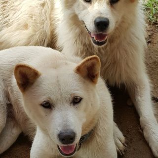 속리산정이품농원님의 그곳에서 농사하게 된 계기는? · 참여글 작성글 사진