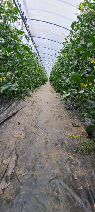 정오농장님의 자유주제 · 자유게시판 작성글 사진