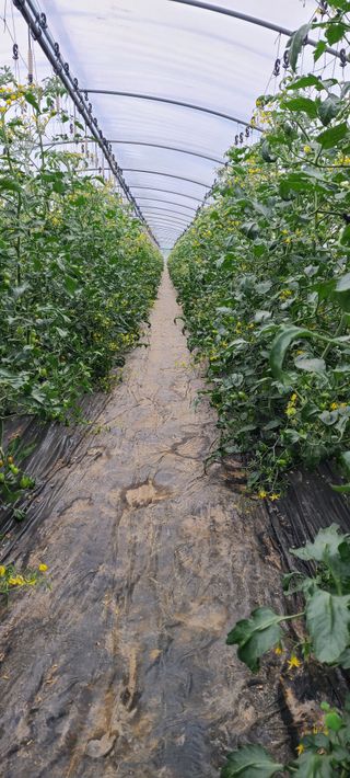 정오농장님의 자유주제 · 자유게시판 작성글 사진