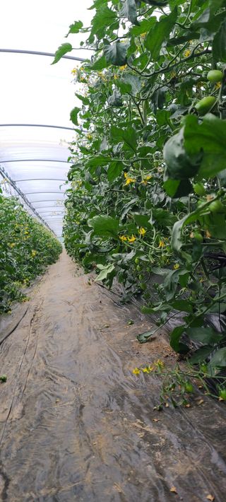 정오농장님의 자유주제 · 자유게시판 작성글 사진