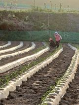 팜모닝 자유주제·자유게시판 게시글 이미지