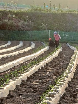오이14746님의 자유주제 · 자유게시판 작성글 사진