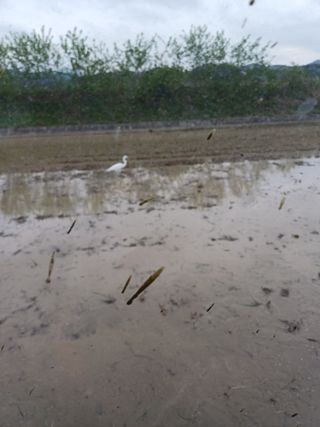 오이14746님의 자유주제 · 자유게시판 작성글 사진