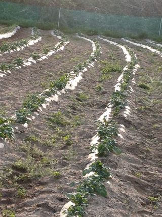 오이14746님의 자유주제 · 자유게시판 작성글 사진