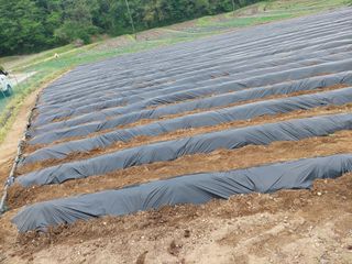 지금은 공돌이님의 자유주제 · 자유게시판 작성글 사진