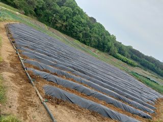 지금은 공돌이님의 자유주제 · 자유게시판 작성글 사진