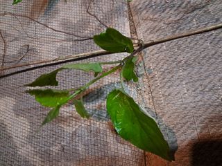 이희자님의 자유주제 · 자유게시판 작성글 사진