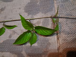 이희자님의 자유주제 · 자유게시판 작성글 사진