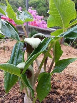 이미경님의 자유주제 · 자유게시판 작성글 사진