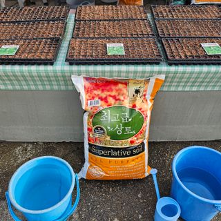 도시농부청전님의 5월 농사계획 공유하기 · 참여글 작성글 사진