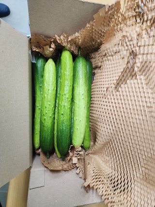 쉐어팜 무농약님의 작성글 사진