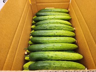 쉐어팜 무농약님의 작성글 사진