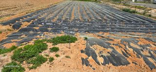 에바다님의 5월 농사계획 공유하기 · 참여글 작성글 사진