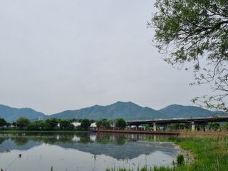 손병만님의 자유주제 · 자유게시판 작성글 사진