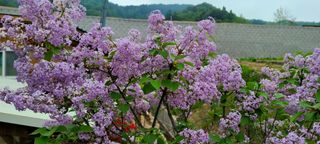 최영희님의 자유주제 · 자유게시판 작성글 사진