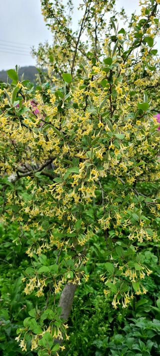 최영희님의 자유주제 · 자유게시판 작성글 사진