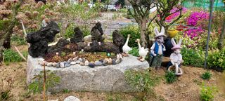 최영희님의 자유주제 · 자유게시판 작성글 사진