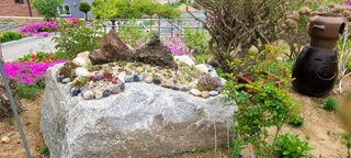 최영희님의 자유주제 · 자유게시판 작성글 사진