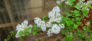 최영희님의 자유주제 · 자유게시판 작성글 사진