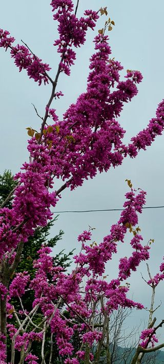 최영희님의 자유주제 · 자유게시판 작성글 사진