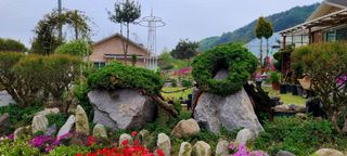 최영희님의 자유주제 · 자유게시판 작성글 사진