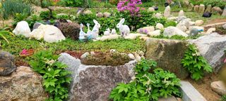 최영희님의 자유주제 · 자유게시판 작성글 사진